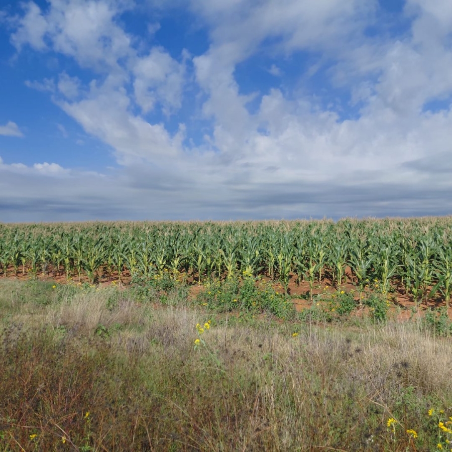 Commercial Property for Sale in Bainsvlei Free State